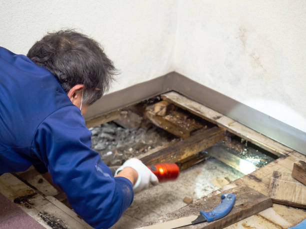 Water Damage Restoration in Lantana, FL