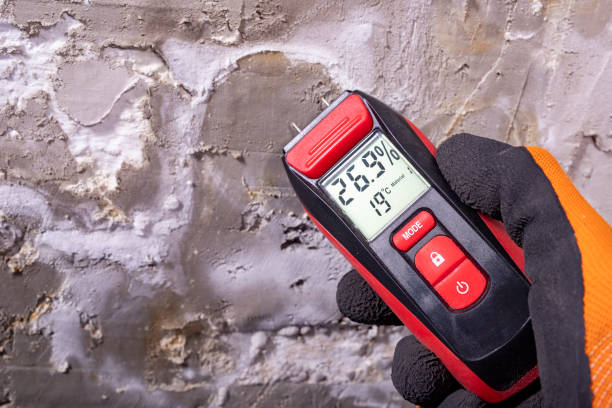 Best Professional Mold Removal  in Lantana, FL